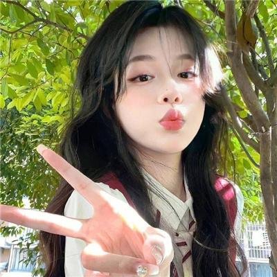 功能失常的猫